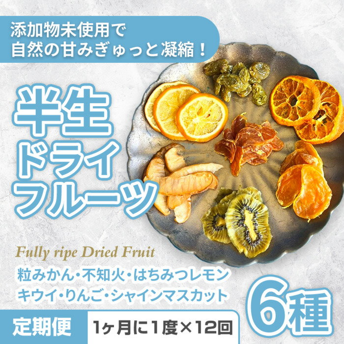 ڤդ뤵Ǽǡۡءչ̵ź6Ⱦɥ饤ե롼ġ12Ϥ