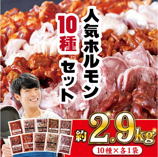 【ふるさと納税】工場直送! 人気焼肉ホルモン 10種セット 総計2900g 小分け 真空パック 愛されて49年のホルモン専門ブランド 甘辛味付け こどもも大好き 焼くだけ 簡単 長期保存可能 12ヶ月 冷凍 常備 個包装 おつまみ お弁当 ギフト 贈答 お中元 お歳暮 豊味館 【ふるさと納税】工場直送! 人気焼肉ホルモン 10種セット 総計2900g 小分け 真空パック 愛されて49年のホルモン専門ブランド 甘辛味付け こどもも大好き 焼くだけ 簡単 長期保存可能 12ヶ月 冷凍 常備 個包装 おつまみ お弁当 ギフト 贈答 お中元 お歳暮 豊味館