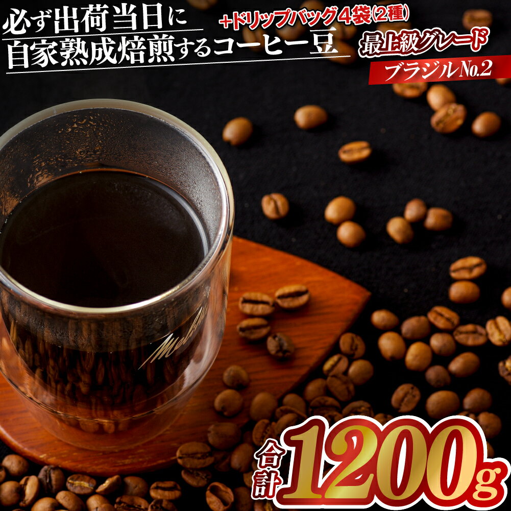 必ず出荷日に自家熟成焙煎ブラジルNo.2豆(1.2kg)＋ドリップバッグ4パック