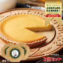 【ふるさと納税】【濃厚しっとり】カース・ケイク(小) 3個セット【ハウステンボス タンテ・アニー】人気 チーズケーキ スイーツ デザート 焼菓子 ご褒美 長崎 ...