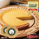【ふるさと納税】【濃厚しっとり】カース・ケイク(大) 2個セット【ハウステンボス タンテ・アニー】人気 チーズケーキ スイーツ デザート 焼菓子 ご褒美 長崎 ...