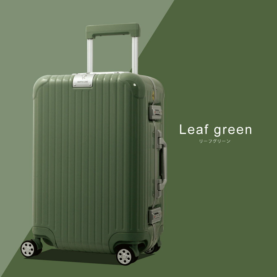 【ふるさと納税】DL-2823 スーツケース S リーフグリーン