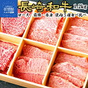 【ふるさと納税】長崎和牛3種盛り焼肉食べ比べセット 計1.2kg 牛肉 黒毛和牛 霜降 ロース 赤身