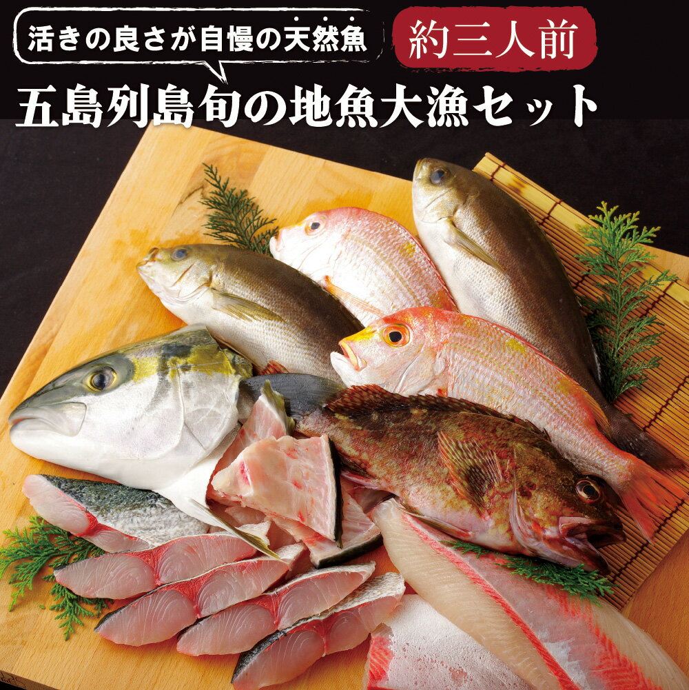 【ふるさと納税】五島列島 旬の 地魚 大漁 セット(約3人前) 刺身 焼魚 アラ ひらまさ れんこだい 宇久島