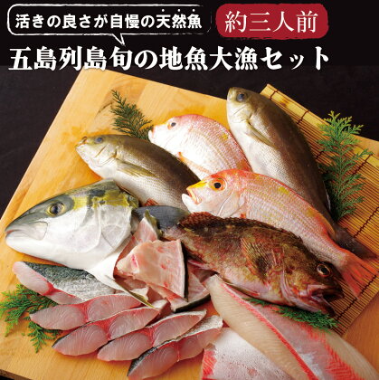 五島列島 旬の 地魚 大漁 セット(約3人前) 刺身 焼魚 アラ ひらまさ れんこだい 宇久島