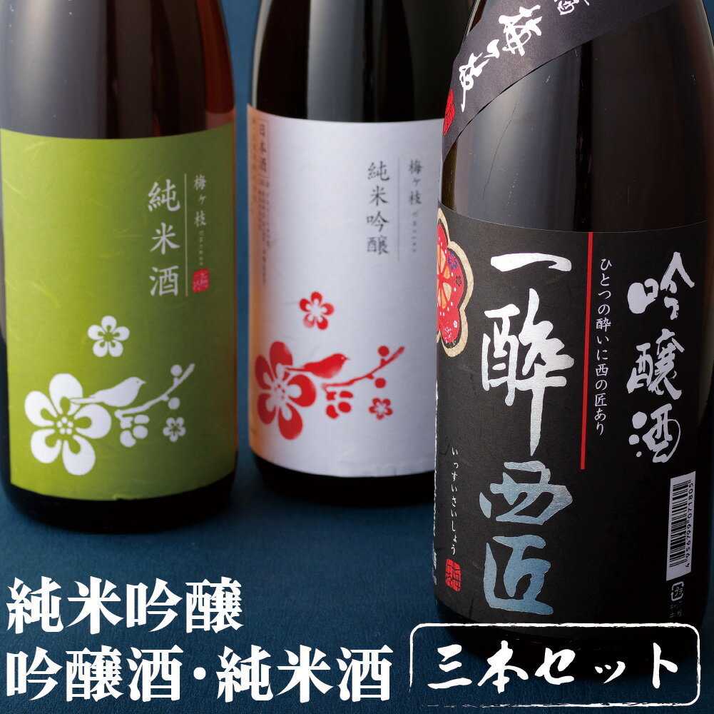 【ふるさと納税】【創業230年 辛口&中口 1800ml 3本】 純米吟醸 吟醸 純米酒 華やか&やや辛口 日本酒 3本 各1800ml セット 一升瓶 酒袋を使って丁寧に作られた酒 女性にも人気 日本酒 宅飲み …