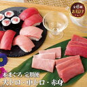 【ふるさと納税】【隔月6回定期便 総計3,600g】長崎県産 本まぐろ 3種セット ( 大トロ 中トロ 赤身 ) 約600g 特殊製法で臭みなし マグロ 中とろ...