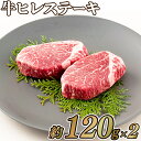 【ふるさと納税】【超希少部位】長崎県産 ヒレステーキ 240g (120g×2枚) 鮮度や熟成具合を徹底管理 冷凍 最高級 ギフト 送料無料 牛肉 ヒレ フィレ ヘレ 田中精肉店 18000円