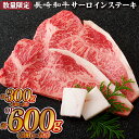 【ふるさと納税】長崎和牛 サーロインステーキ 計300g (150g×2枚) or 計600g (200g×3枚) 容量選べる 数量限定 最高鮮…