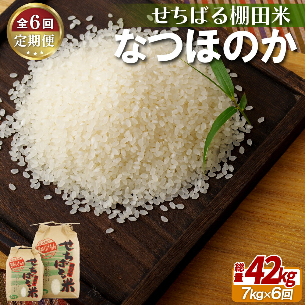 16位! 口コミ数「0件」評価「0」《定期便》せちばる棚田米なつほのか(7kg)【6回お届け】 65000円