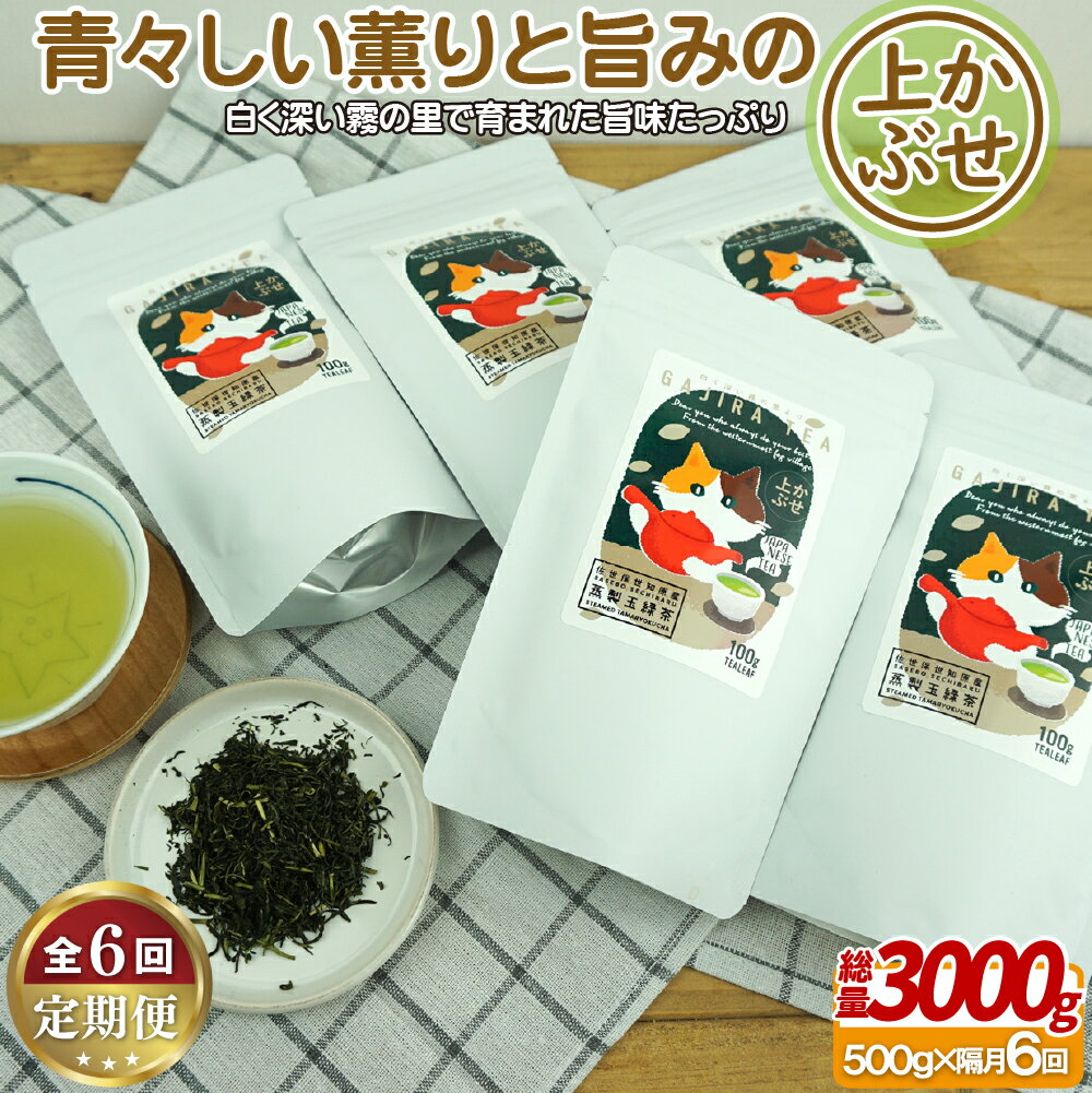 世知原茶 青々しい薫りと旨みの上かぶせ [6回定期便] 88000円