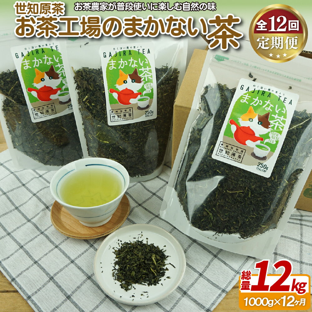 【ふるさと納税】世知原茶お茶工場のまかない茶【12回定期便】 141000円