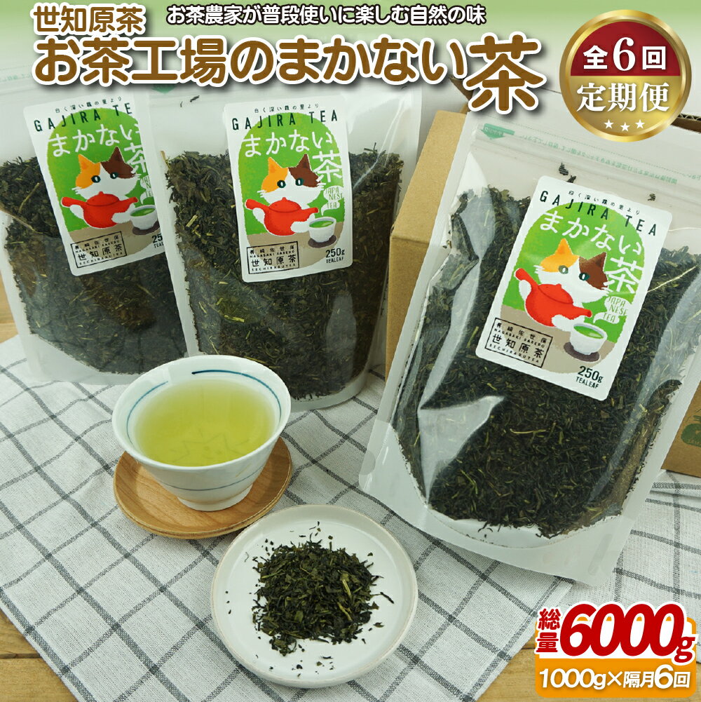 世知原茶お茶工場のまかない茶[6回定期便] 70500円