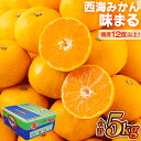 【ふるさと納税】 西海 みかん 味まる 5kg 糖度12度以上 佐世保 長崎 年内発送 ミカン 旬 甘い 家庭用 自宅用 送料無料 長崎県産 常温 ブランドみかん