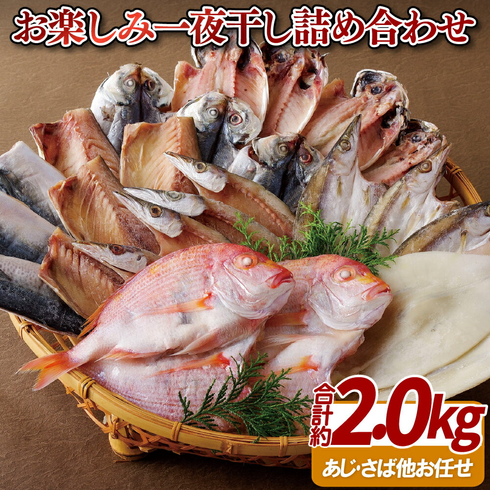 干物 【ふるさと納税】おたのしみ (約2kg) 一夜干し 詰合わせ 総計約2.0kg 限定 たっぷり 干物 魚 ひもの セット イカ アジ 鯵 タイ 鯛 サバ 鯖 カマス 贈答 ギフト お中元 お歳暮 11000円