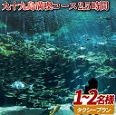 22位! 口コミ数「0件」評価「0」九十九島満喫コース2.5時間1名～2名様