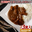 【ふるさと納税】長崎和牛とあごだしのカレー 200g入3食 常温