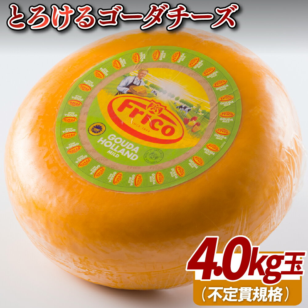 【ふるさと納税】ゴーダチーズ4kg玉(不定貫)の商品画像