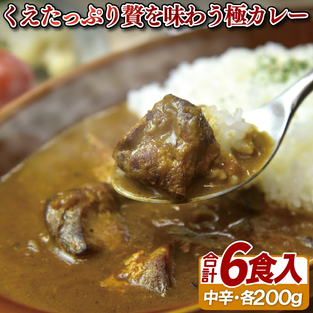 【添加物未使用！クエの旨味】くえたっぷり贅を味わう極カレー 200g×4袋 ギフト 贈答 長期保存可能 常温 レトルト食品 レトルトカレー ビーフカレー 欧風カレー スパイス お中元 お歳暮 高級カレー クエ くえ お中元 お歳暮