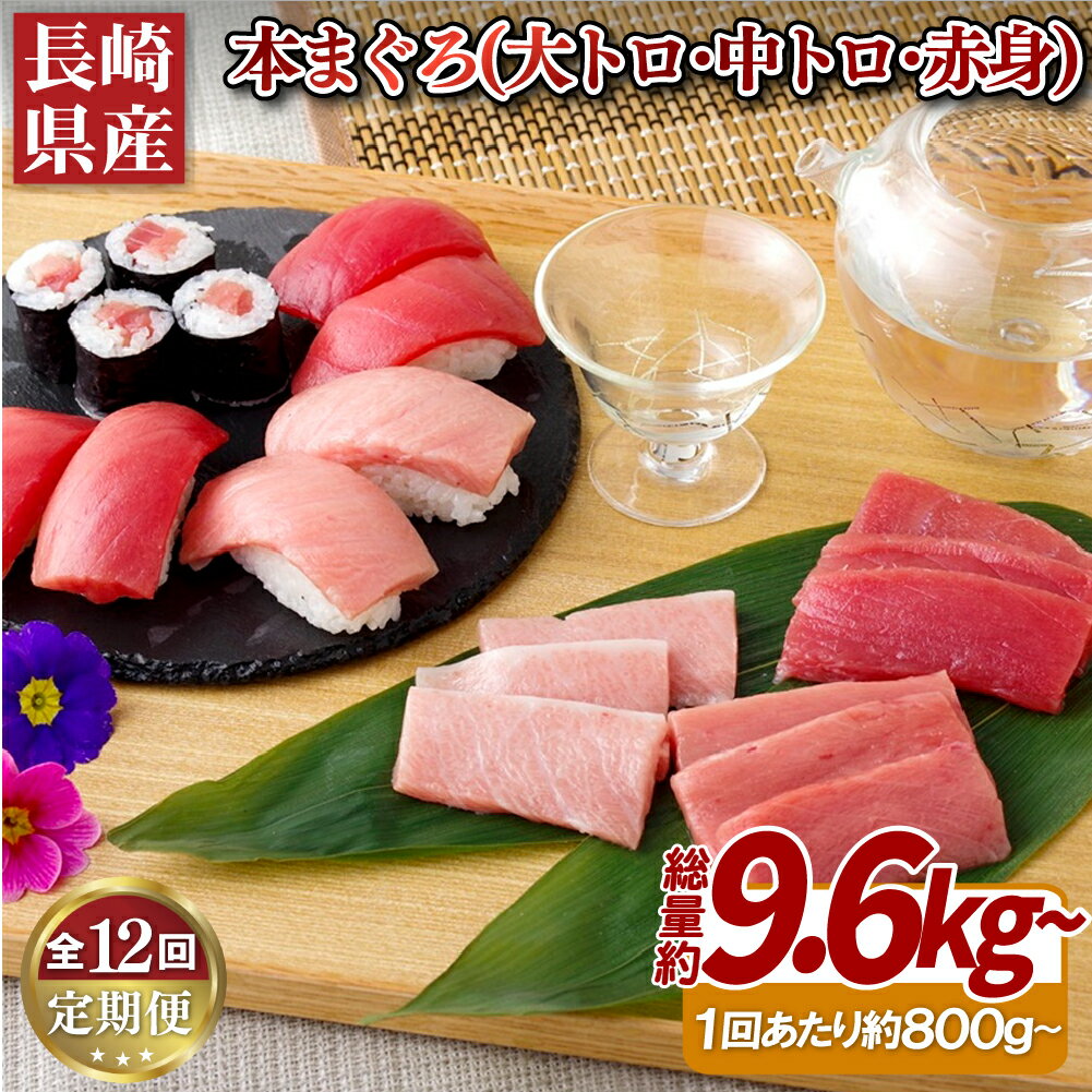 【ふるさと納税】【12回定期便 総計9,600g】長崎県産 本まぐろ 3種セット ( 大トロ 中トロ 赤身 ) 800g以上 特殊製法で臭みなし マグロ 中とろ...