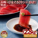 【ふるさと納税】【6回定期便 総計2,880g】長崎県産 本まぐろ 2種セット ( 中トロ 赤身 ) 総計480g以上 特殊製法で臭みなし マグロ 中とろ まぐ...