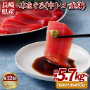 【ふるさと納税】【12回定期便 総計5,760g】長崎県産 本まぐろ 2種セット ( 中トロ 赤身 ) 総計480g以上 特殊製法で臭みなし マグロ 中とろ ま...