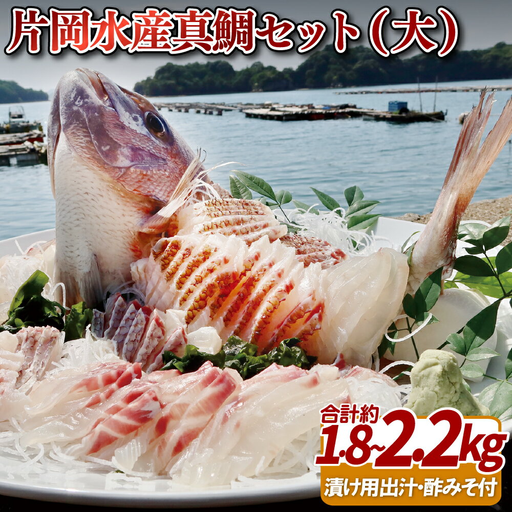 【ふるさと納税】片岡水産 真鯛 セット ( 大 ) 約5~6人前 養殖 鯛 九十九島 刺身 鍋 海鮮 プレゼント ギフト 贈り物 贈答 贈答用 お中元 お歳暮 御中元 御歳暮