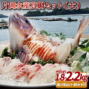【ふるさと納税】片岡水産 真鯛 セット ( 大 ) 約5~6人前 養殖 鯛 九十九島 刺身 鍋 海鮮 プレゼント ギフト 贈り物 贈答 贈答用 お中元 お歳暮 ...
