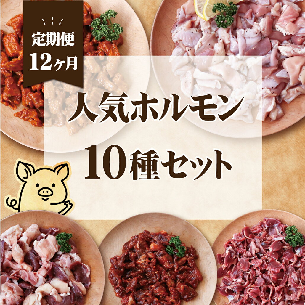 【ふるさと納税】《定期便》工場直送　人気焼肉ホルモン10種【12回お届け】 263000円