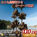 【ふるさと納税】九十九島殻付かきオーナーズ制度(2026年冬お届け)