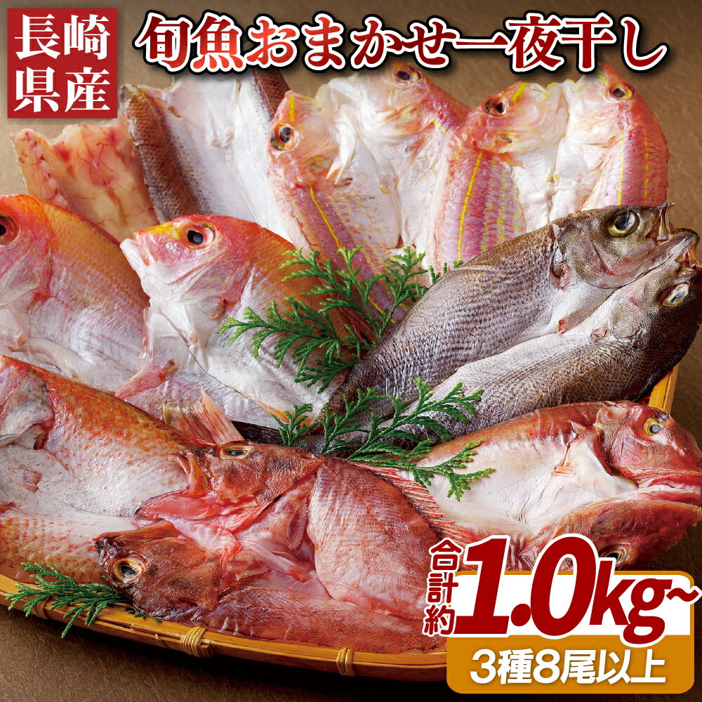 【ふるさと納税】【一夜干し 計1,000g以上！】長崎県産厳選！ 旬のお魚 おまかせ一夜干しセット 3種8...