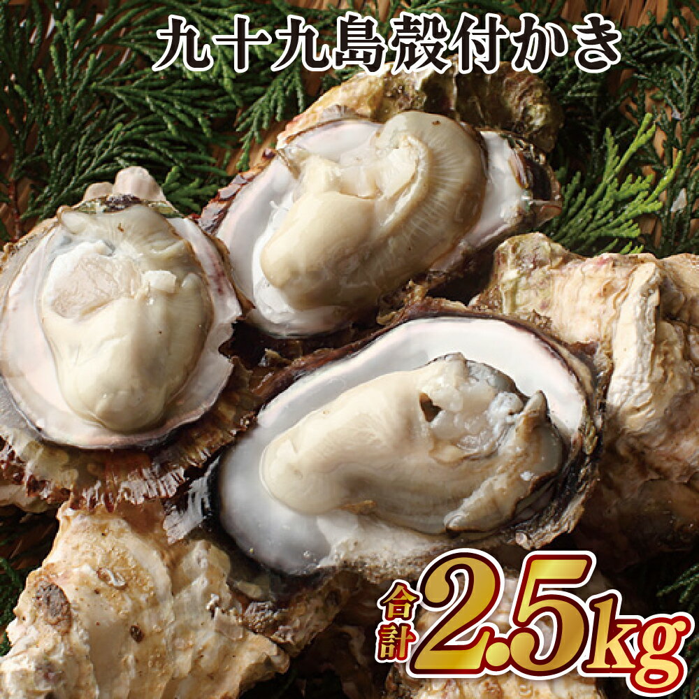 【ふるさと納税】九十九島 殻付 かき 貝 生食 牡蠣
