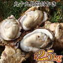 17位! 口コミ数「7件」評価「3.71」九十九島 殻付 かき 貝 生食 牡蠣