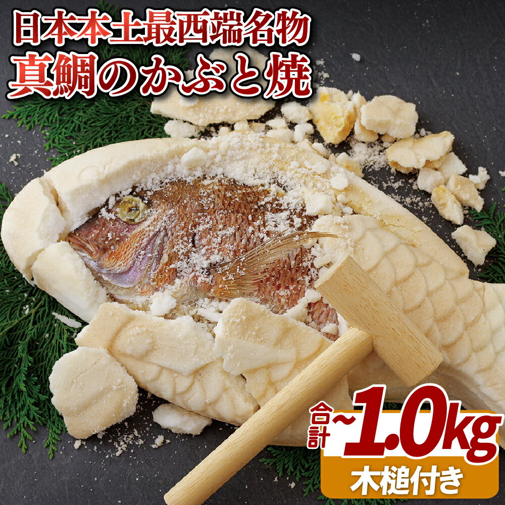 日本 本土 最西端 名物 真鯛 の かぶと焼 約0.9~1kg 新鮮 鯛 プレゼント ギフト 贈答 贈答用 お中元 お歳暮 御中元 御歳暮