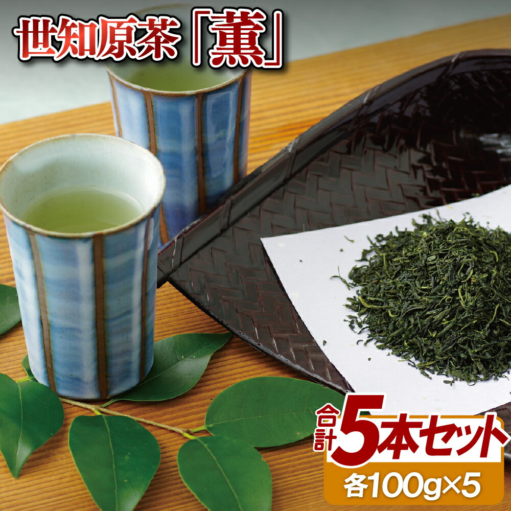 世知原茶「薫」5本セット