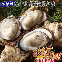 27位! 口コミ数「7件」評価「3.71」九十九島 殻付 かき 貝 生食 牡蠣