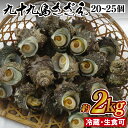 【ふるさと納税】九十九島さざえ