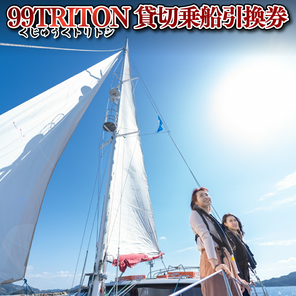 【ふるさと納税】99TRITON貸切乗船引換券 324500円