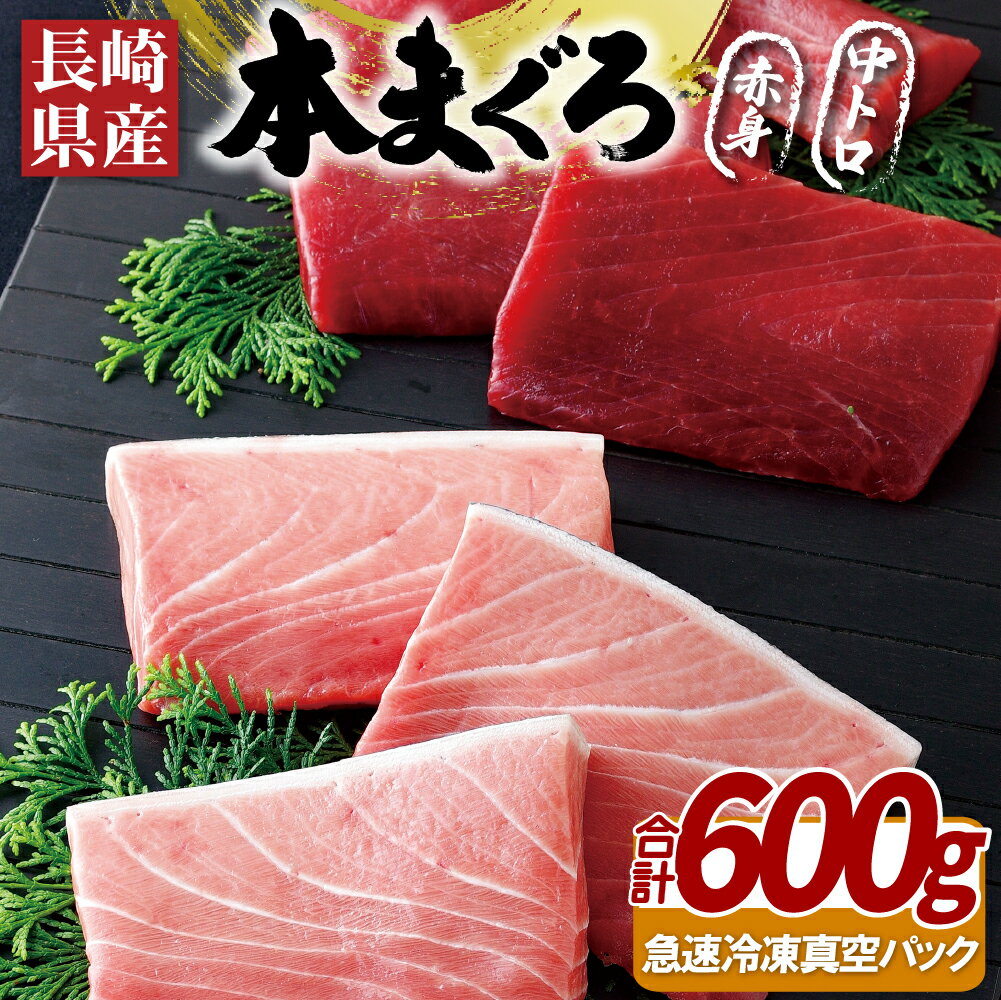 【ふるさと納税】長崎県産 本まぐろ 赤身 中トロ 約600g 特殊製法で臭みなし 刺身 急速冷凍 真空 冷凍 ギフト 贈答 贈り物 のし お中元 御中元 お歳暮 御歳暮 マグロ まぐろ 鮪 本マグロ 長崎 永松屋のサムネイル