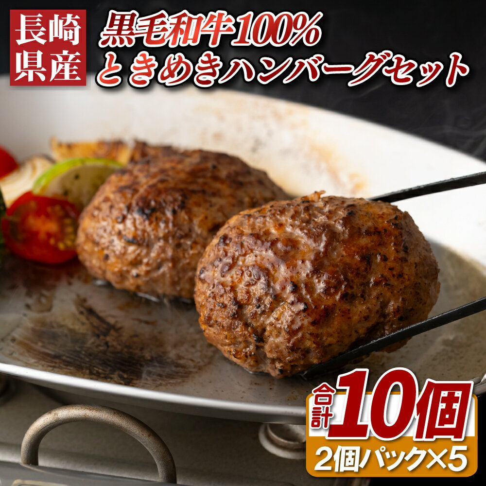 【ふるさと納税】長崎県産黒毛和牛100%ときめきハンバーグセット
