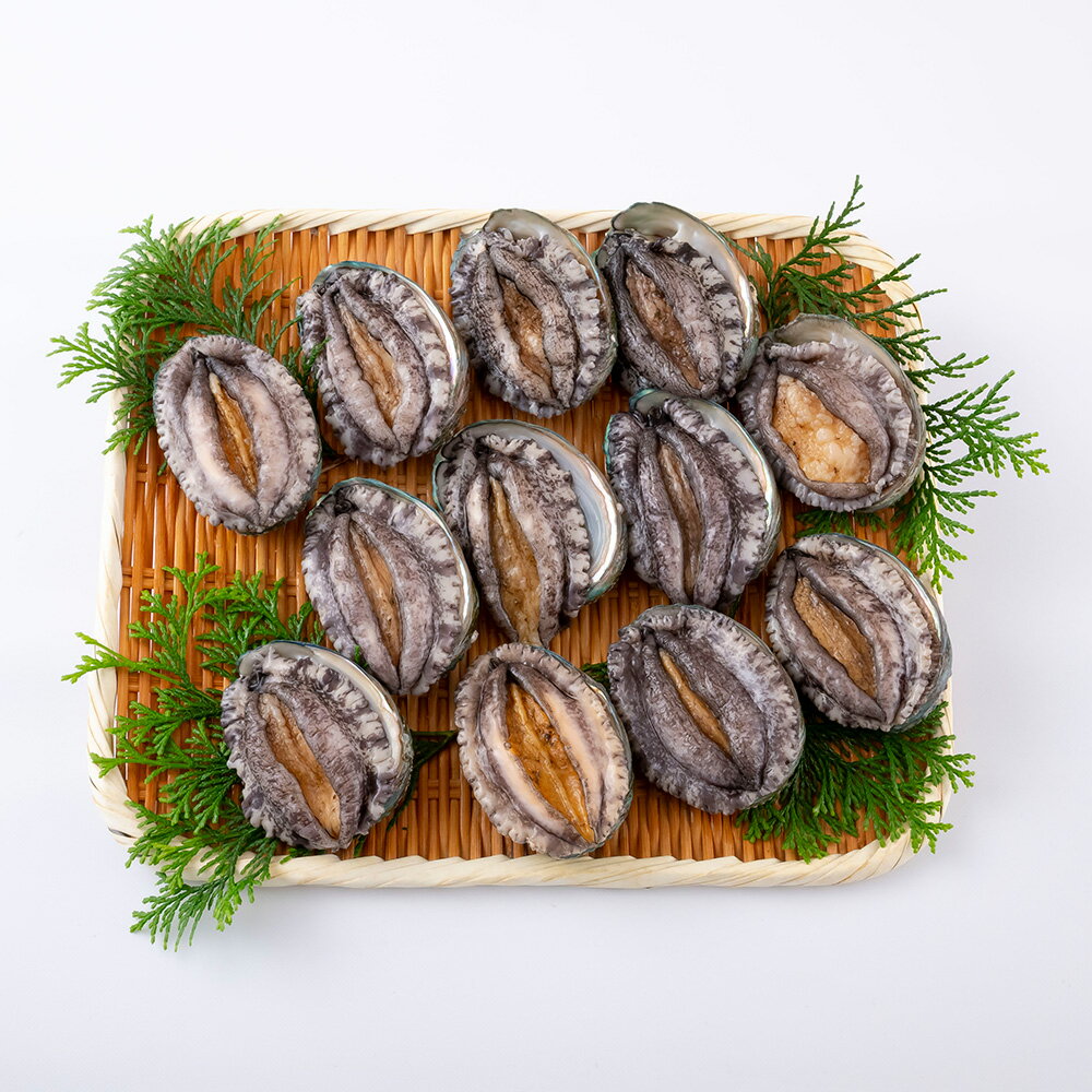 九十九島活あわび(900g)養殖