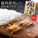 【ふるさと納税】CE037 豚角煮カレー　島原麦みそ仕立て　