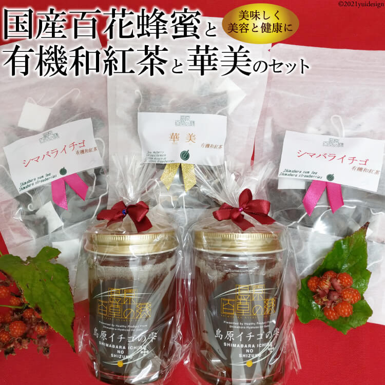 【ふるさと納税】「紅茶と蜂蜜の島原イチゴセット60」の商品画像