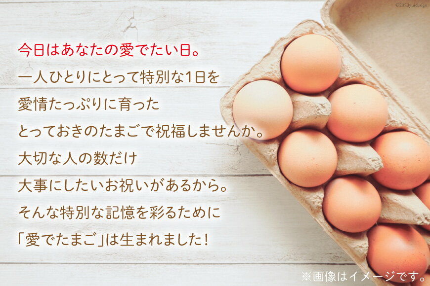 カンピー 味付うずら卵 5個入り