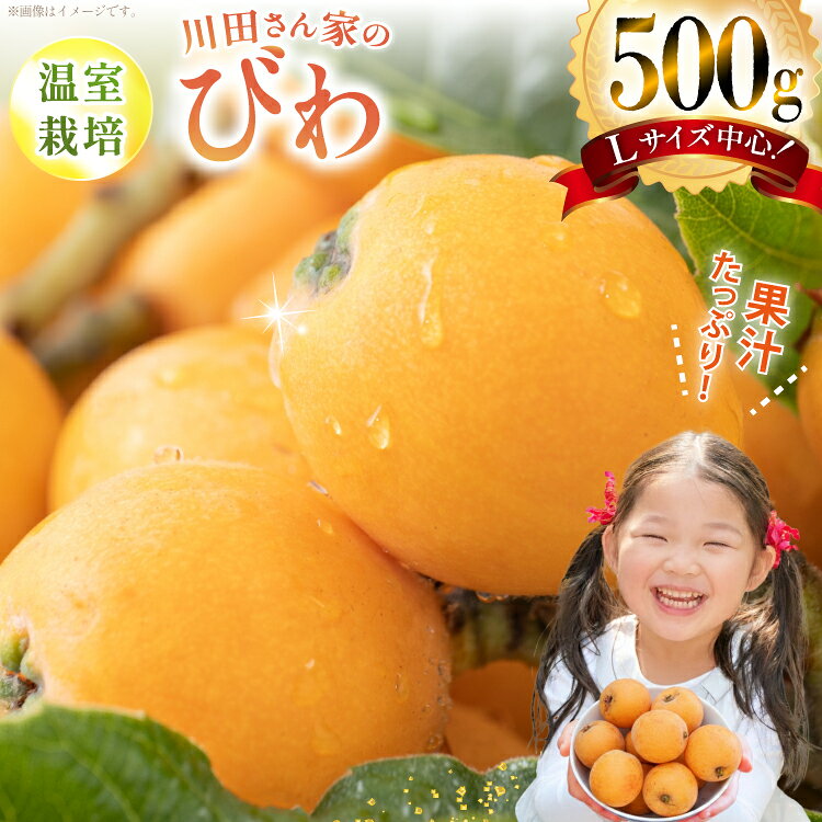 AF220[令和9年度出荷分]びわ 果汁たっぷり!川田さん家の温室栽培びわ 500g [ びわ ビワ 枇杷 フルーツ 果物 くだもの 国産 先行予約 川田農園 長崎県 島原市 ]