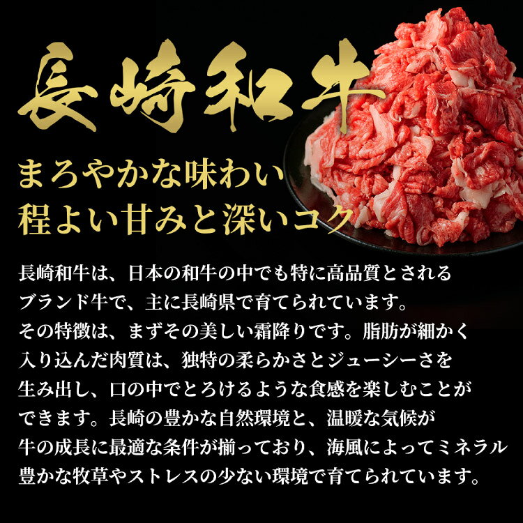 【ふるさと納税】 AI261 長崎和牛 すき焼き しゃぶしゃぶ 切り落とし 600g [ 肉 和...