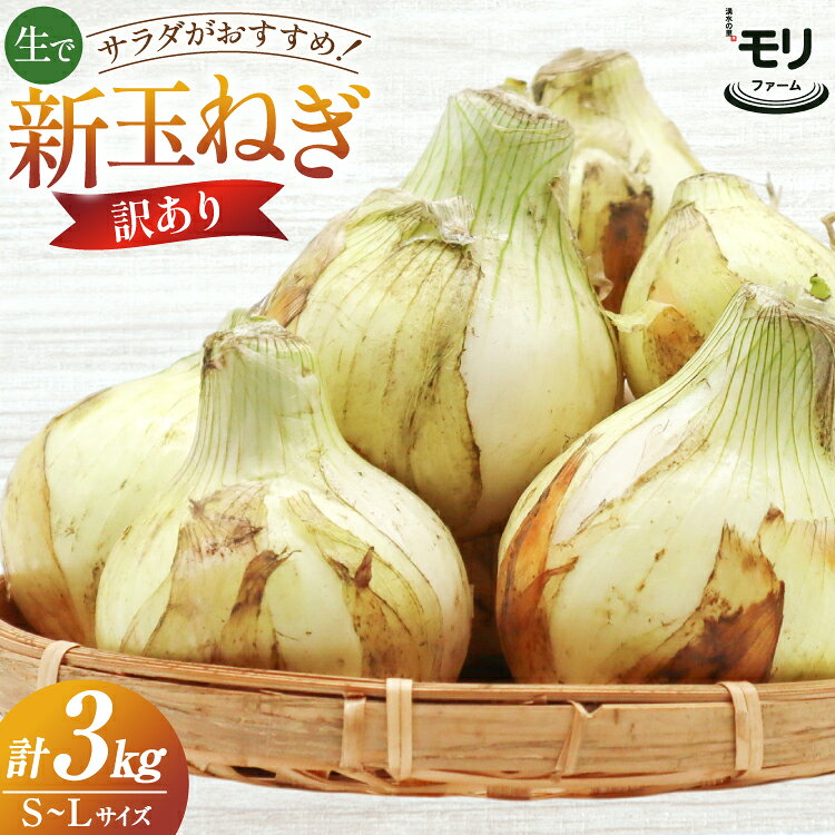 [訳あり] 湧水の里 モリファーム 新玉ねぎ 3kg 不揃い (S〜Lサイズ混合) [ 新たまねぎ 新たま 玉ねぎ たまねぎ タマネギ 生玉ねぎ サラダ おいしい ふぞろい 訳アリ 森農園 湧水の里 モリファーム 長崎県島原市 ]
