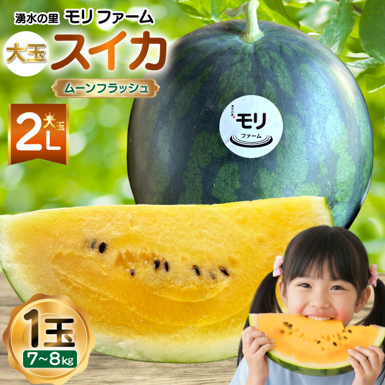 【ふるさと納税】 AJ457 【令和8年度出荷分】 湧水の里 モリファーム 大玉スイカ ムーンフラッシュ 2L ..