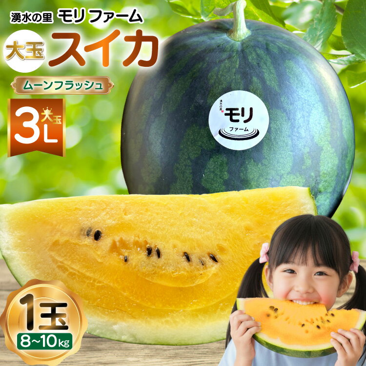 【ふるさと納税】 AJ458 【令和8年度出荷分】 湧水の里 モリファーム 大玉スイカ ムーンフラッシュ 3L ..