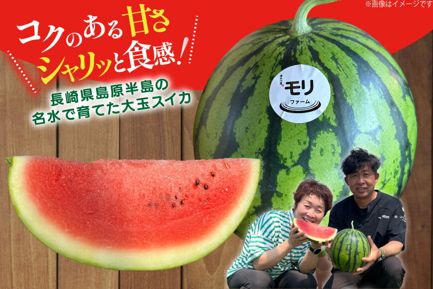 【ふるさと納税】 AJ459 【令和8年度出荷分】 湧水の里 モリファーム 中玉スイカ プチット M〜L 5〜7kg 1玉 [ 先行予約 数量限定 中玉 スイカ 西瓜 フルーツ 果物 長崎 長崎県 島原市 ]